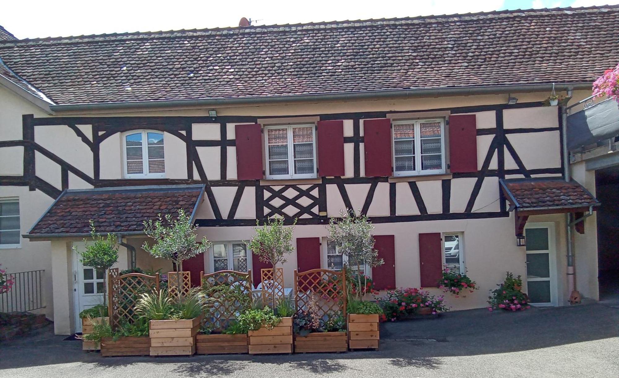 Scharrachbergheim-Irmstett Le Repaire Des Hirondelles - Le Colombage 빌라 외부 사진