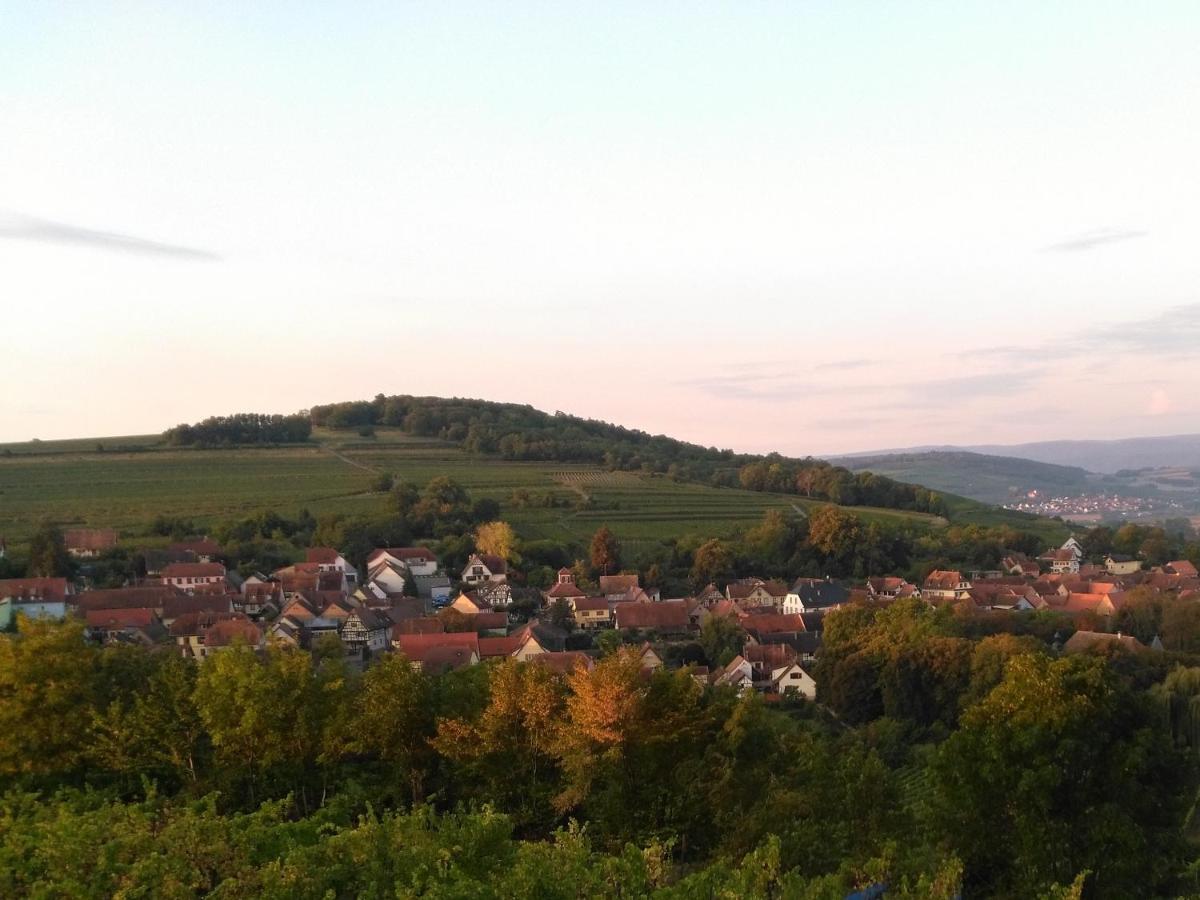 Scharrachbergheim-Irmstett Le Repaire Des Hirondelles - Le Colombage 빌라 외부 사진